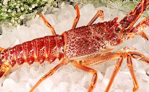 �����rС�W(xu��)����