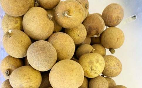 ��Ƭ���ܵ�������С�W(xu��)���ģ����x22ƪ��