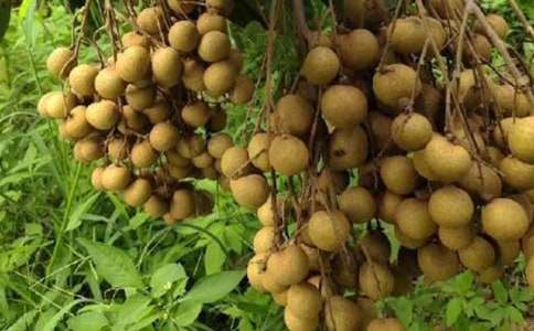 ���ۘ�(sh��)������