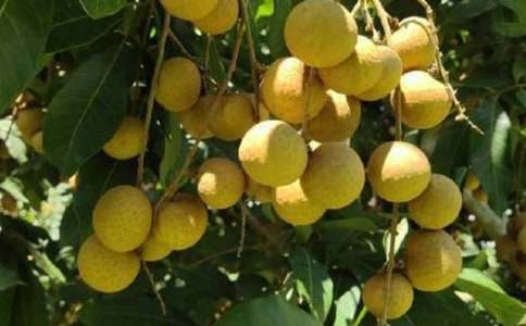 ���P(gu��n)���ۘ�����4ƪ