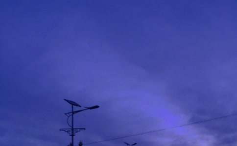 我是一盞溫暖的路燈作文900字