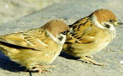 ���x��ȸ����300����ƪ