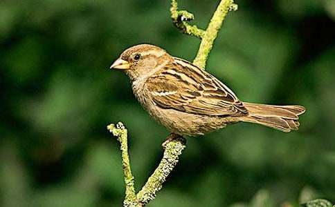 �茑��ȸ������600��