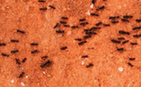 Λρ����ļ�ʎ����