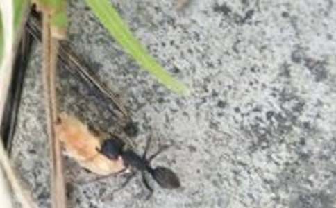 �Ұl(f��)�F(xi��n)��Λρ����������