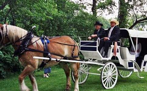 ���P(gu��n)�R܇���Ԣ�Թ���