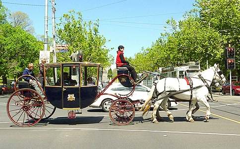 �R܇(ch��)С�W(xu��)���꼉(j��)����