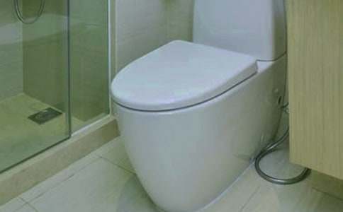 發(fā)明家名人故事:抽水馬桶_1500字