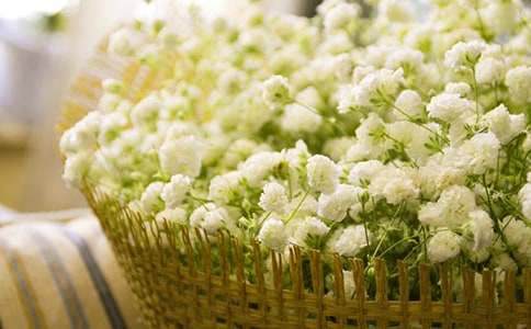 ��B�M���ǵ�400������