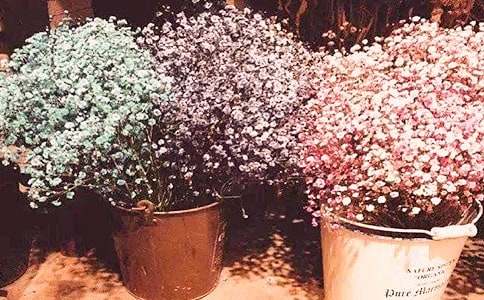 �M���ǵĻ��ZΨ������