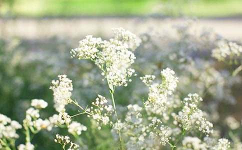 �M���ǵĻ��ZΨ������