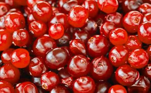 ��Խݮ�ĠI(y��ng)�B(y��ng)�r(ji��)ֵ�cʳ�ù�Ч