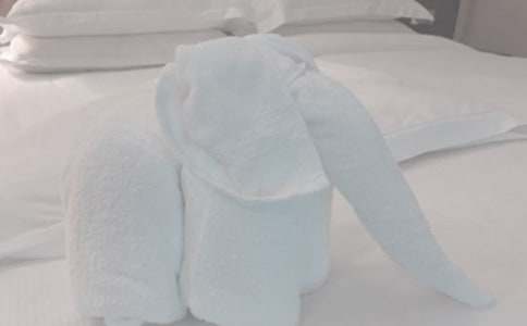 ��һ��ϴë������(7ƪ)