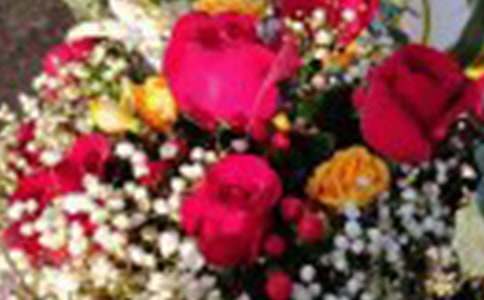 ������õ�廨������