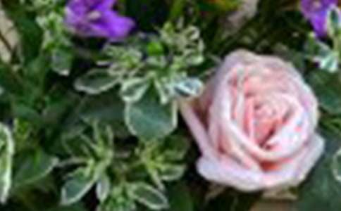 ��Ů���cõ�����Ӿ��x����800������