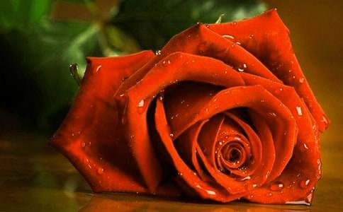 õ�廨���ģ����x45ƪ��