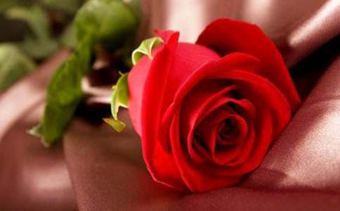 �P(gu��n)��õ�����ąR��5ƪ