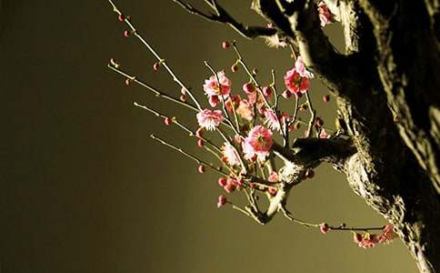 �D÷������������