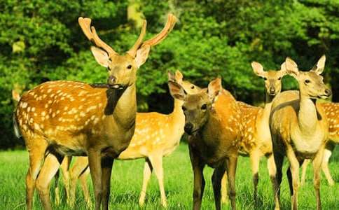 �P(gu��n)��÷��¹������