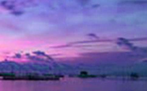 ��������300�փ�(y��u)�����ģ�ͨ��41ƪ��