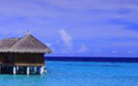 �����е���������600������