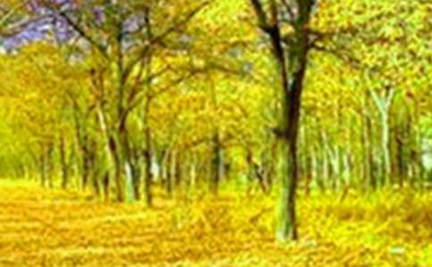 �����ĺ�����������������