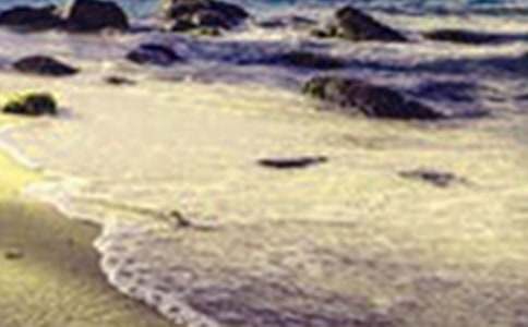 �茑(xi��)��������������400��