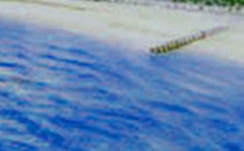 �茑�B�T����������