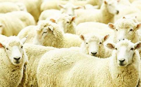 �d���׷������