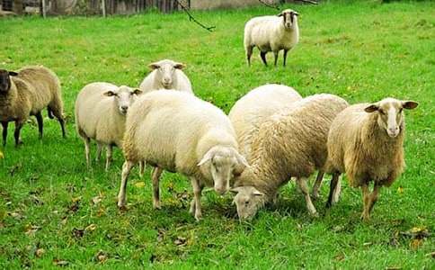 С�����g�d������½̰�