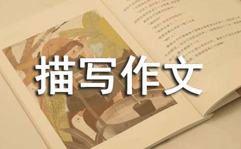 動作描寫作文(通用74篇)