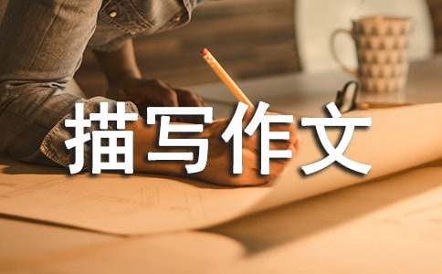 ���������茑(xi��)����6ƪ