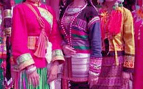 中華民族的傳統(tǒng)文化作文700字