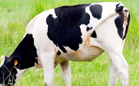 ���������������m(x��)������