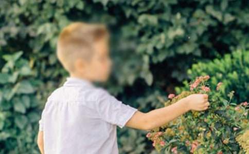 ��ɫ�к�����������800�֣�ͨ��5ƪ��