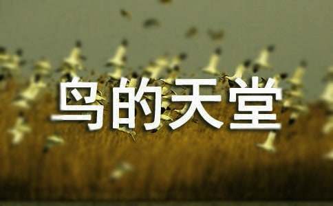 �����T���B����������