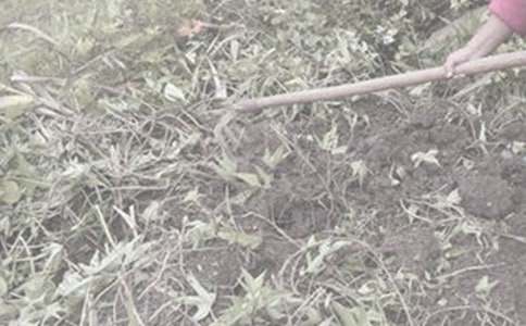 �W(xu��)�r(n��ng)�������