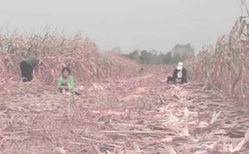 ��һ�θ��r(n��ng)������(3ƪ)