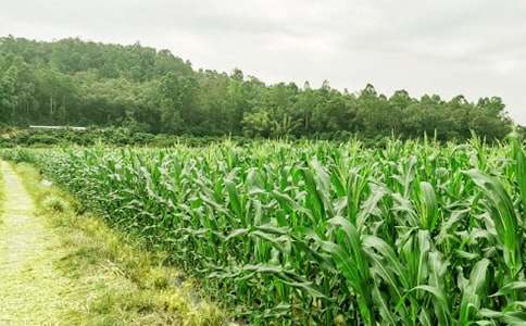 ���l(xi��ng)�k���ˡ��r(n��ng)�Ҙ���_750��