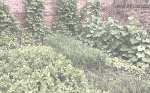 �r(n��ng)������I�u��ͬ