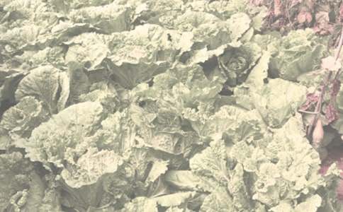 �����r(n��ng)������~�Z