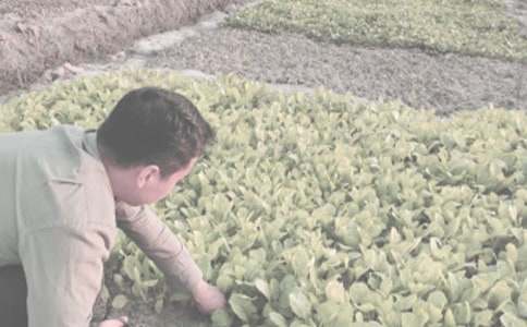 �r(n��ng)����N��ُ�N��ͬ�������]