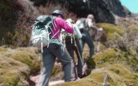 �P(gu��n)����ɽ��������