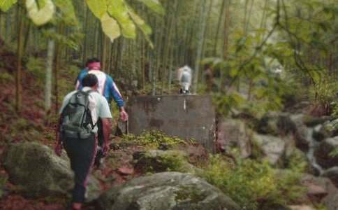 �����T����ɽ��(y��u)������