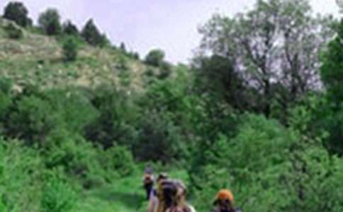 �茑��һ����ɽ������