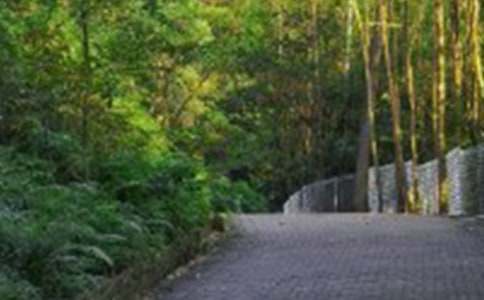 ӑ������ɽ������400�֣����x19ƪ��