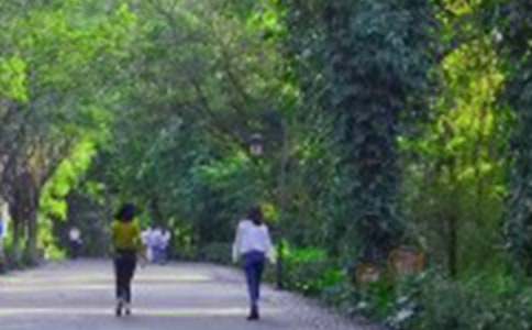 ��ɽ�Ć�ʾ����700��