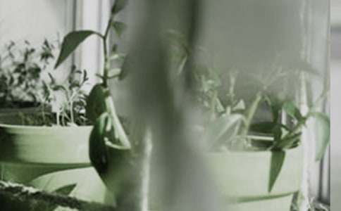 ����С�W(xu��)����