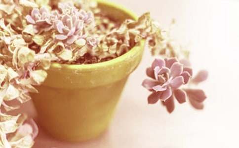 ��������400��6ƪ