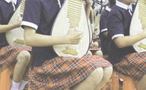 我和琵琶交朋友作文_小學(xué)生作文